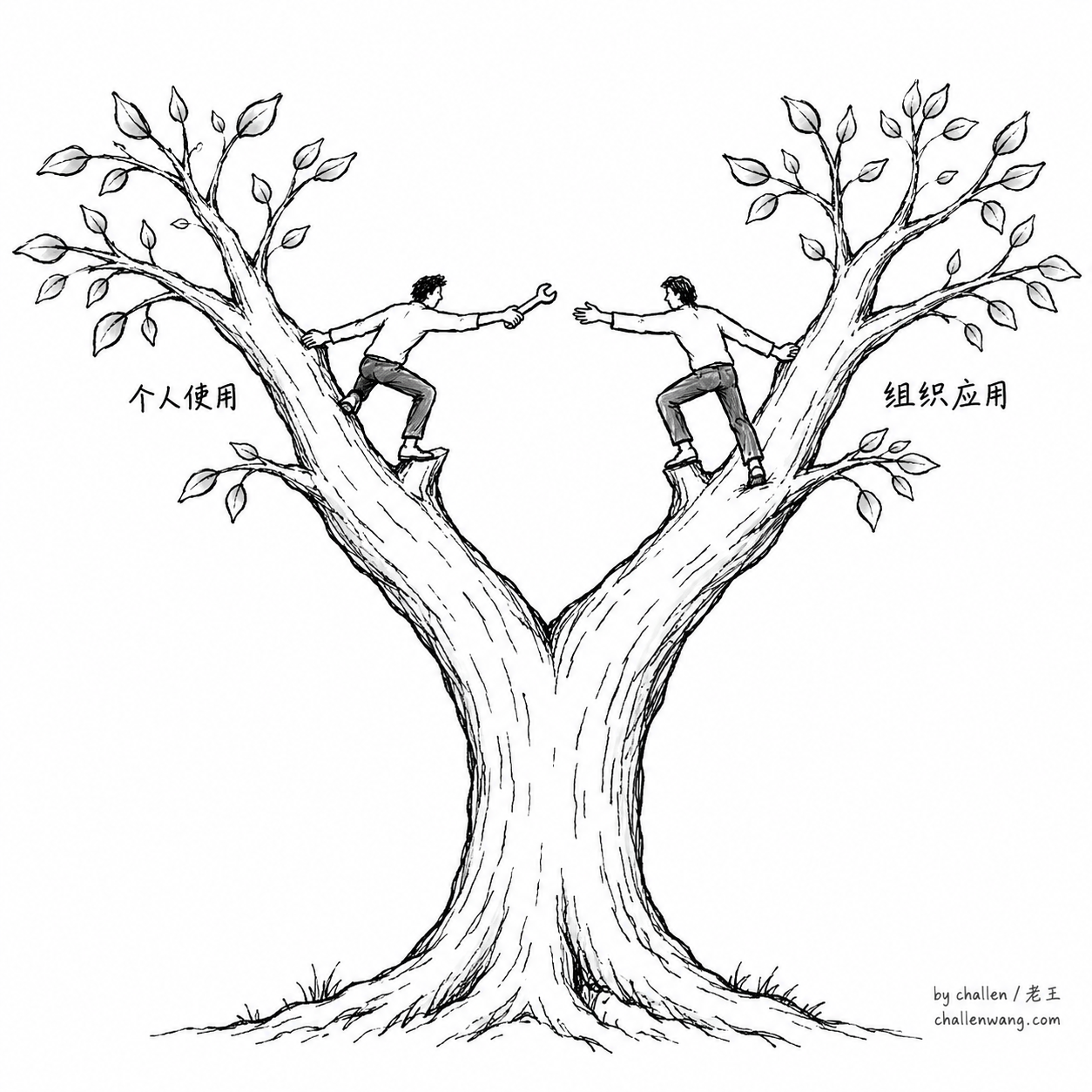 插图：同一棵树分出两条成长枝干，两类能力可以互助但没有自动升级关系。