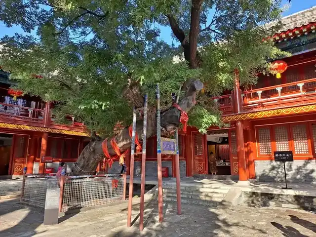 棂星门与北京民俗博物馆竖牌